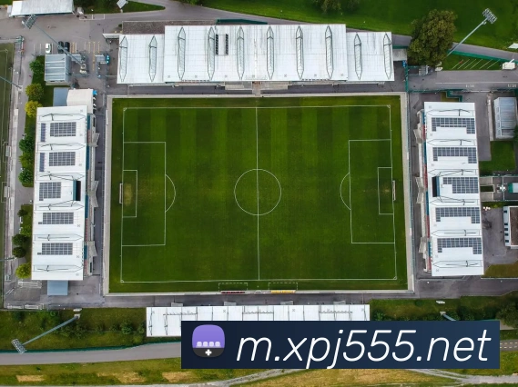 新葡京娱乐平台生态图