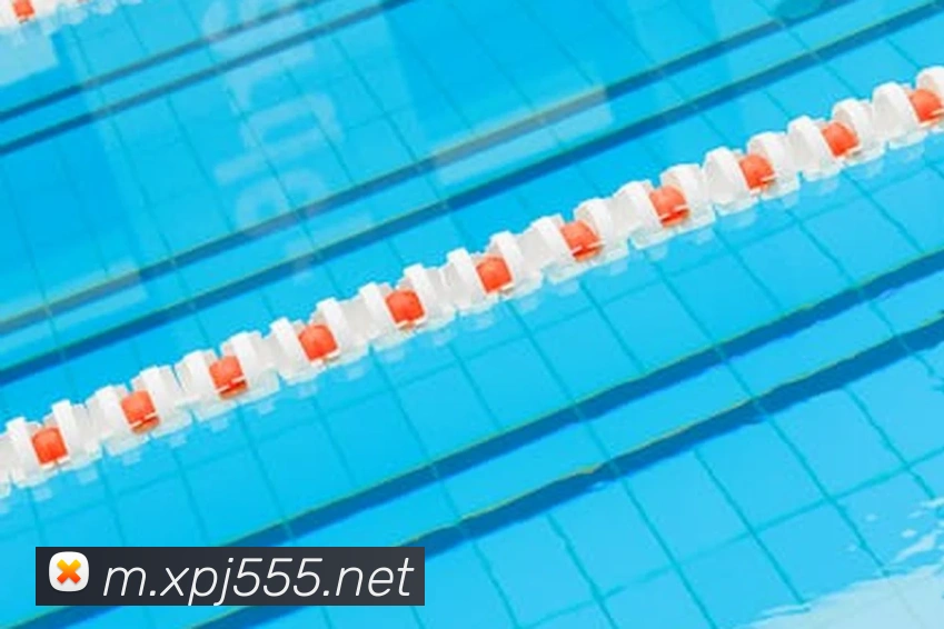 辅助工具 辅助工具